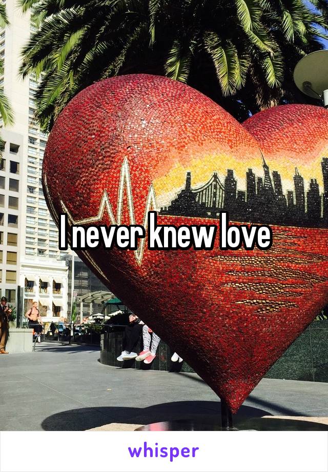 I never knew love