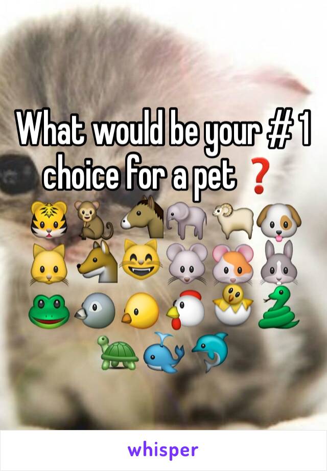 What would be your # 1 choice for a pet❓
🐯🐒🐴🐘🐑🐶🐱🐺😸🐭🐹🐰🐸🐦🐤🐔🐣🐍🐢🐳🐬
