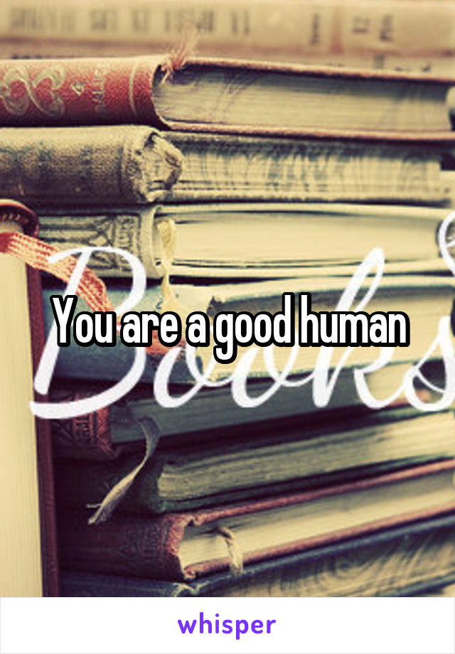 You are a good human