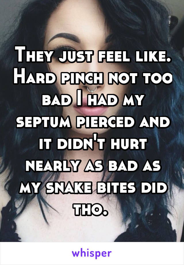 They just feel like. Hard pinch not too bad I had my septum pierced and it didn't hurt nearly as bad as my snake bites did tho. 