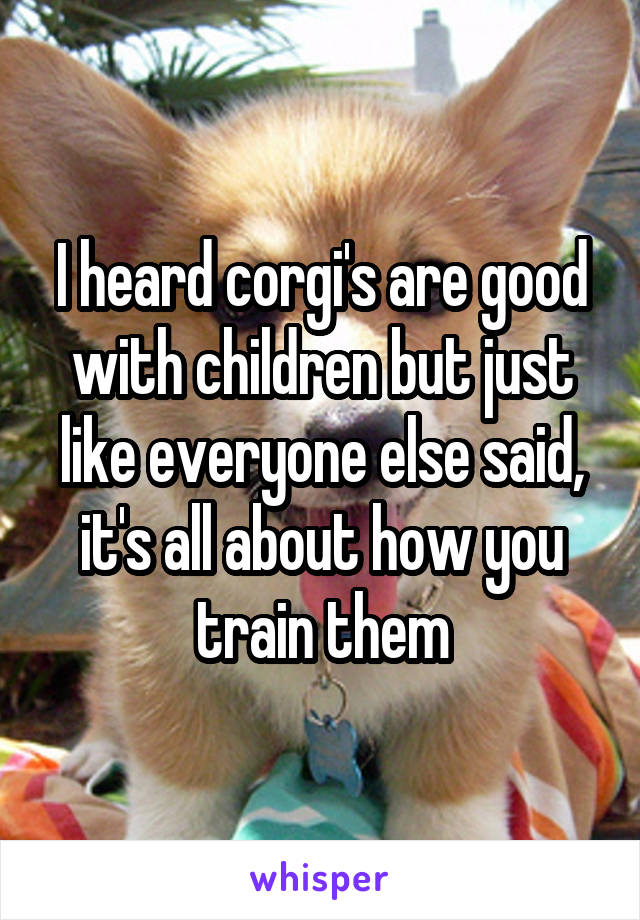 I heard corgi's are good with children but just like everyone else said, it's all about how you train them