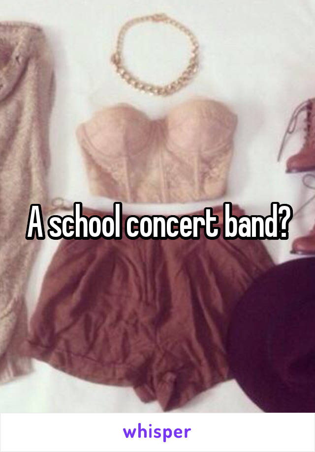 A school concert band?