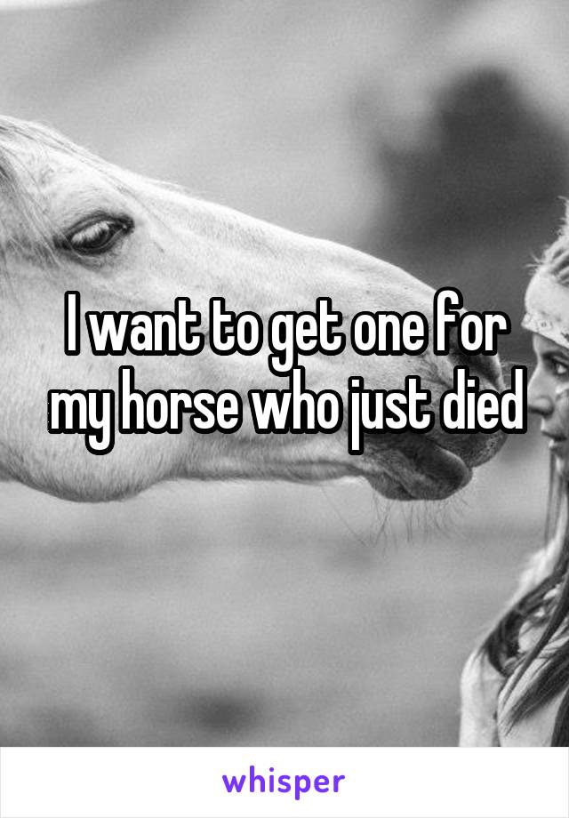 I want to get one for my horse who just died
