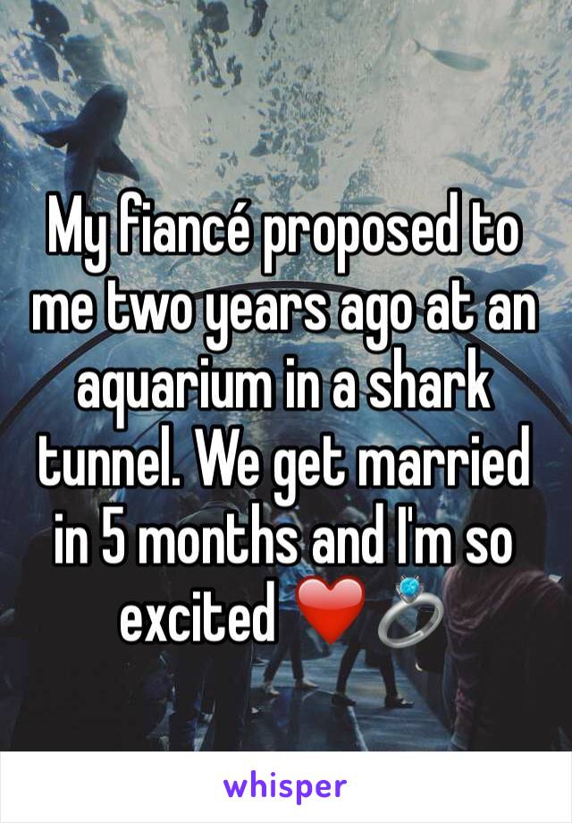 My fiancé proposed to me two years ago at an aquarium in a shark tunnel. We get married in 5 months and I'm so excited ❤️💍