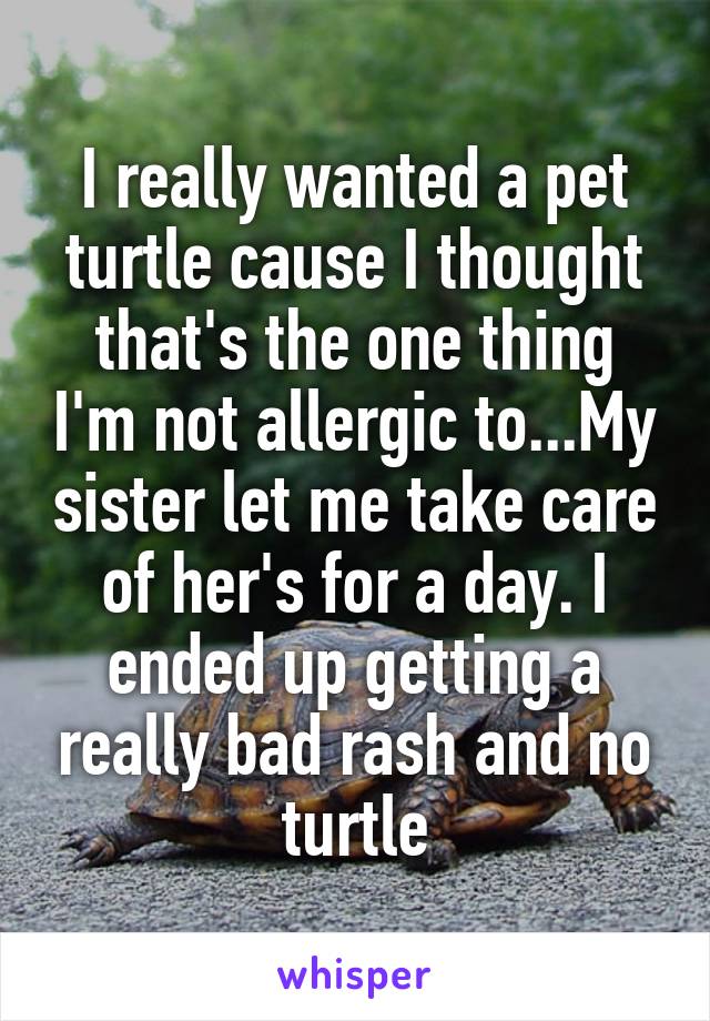 I really wanted a pet turtle cause I thought that's the one thing I'm not allergic to...My sister let me take care of her's for a day. I ended up getting a really bad rash and no turtle