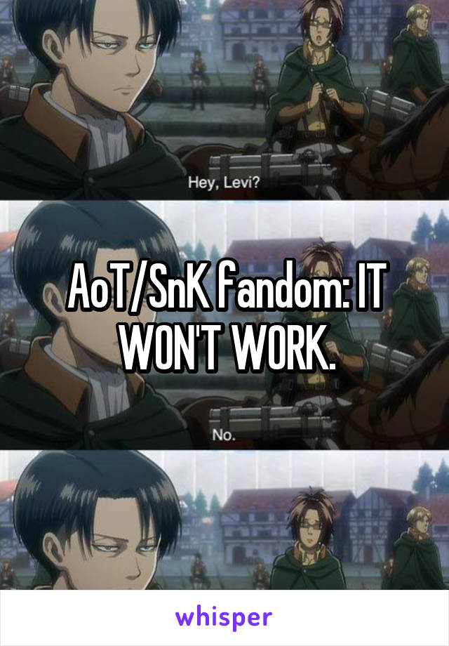 AoT/SnK fandom: IT WON'T WORK.