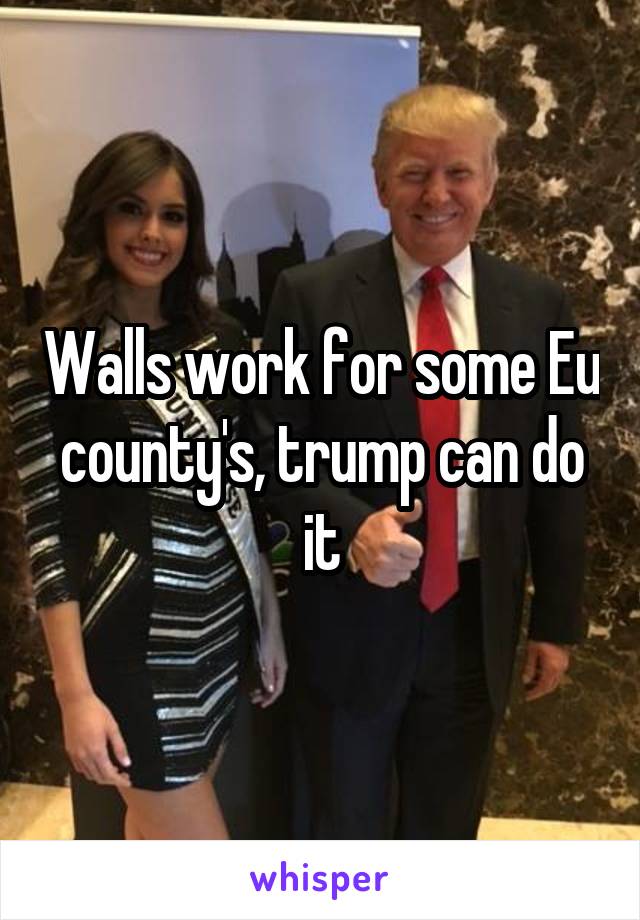 Walls work for some Eu county's, trump can do it