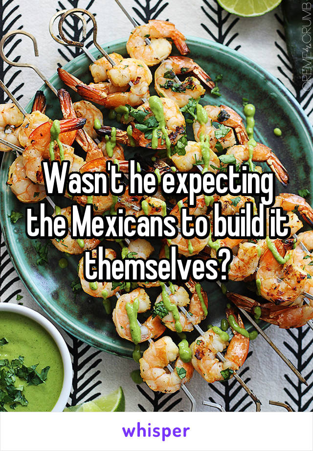 Wasn't he expecting the Mexicans to build it themselves?