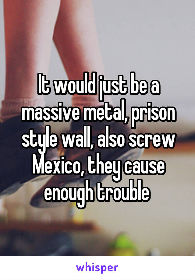 It would just be a massive metal, prison style wall, also screw Mexico, they cause enough trouble 