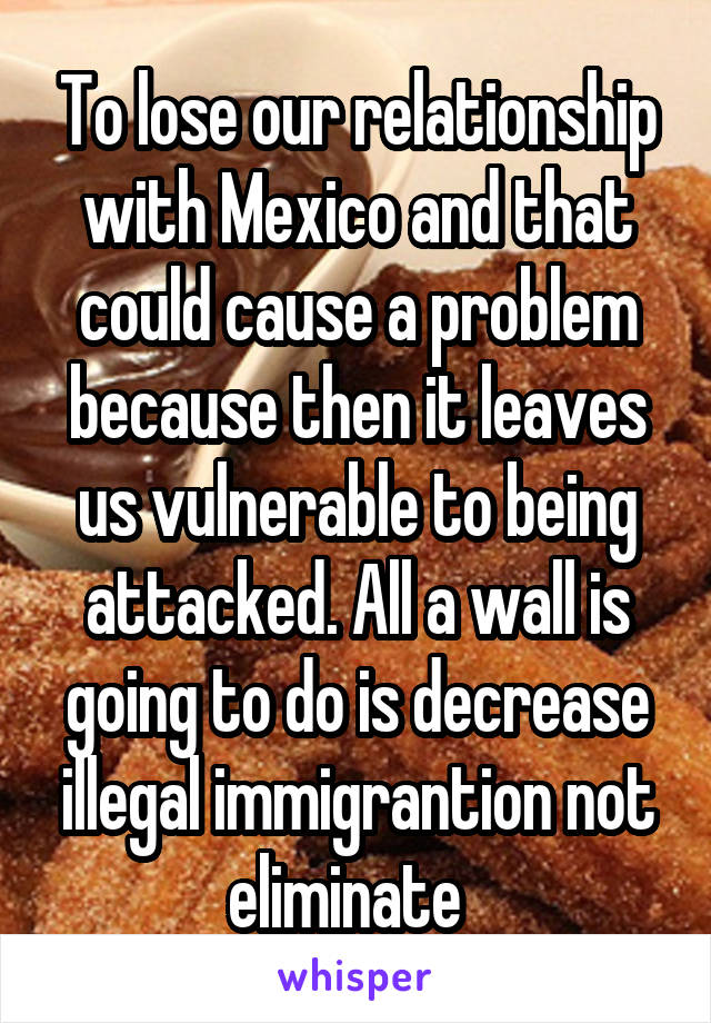 To lose our relationship with Mexico and that could cause a problem because then it leaves us vulnerable to being attacked. All a wall is going to do is decrease illegal immigrantion not eliminate  