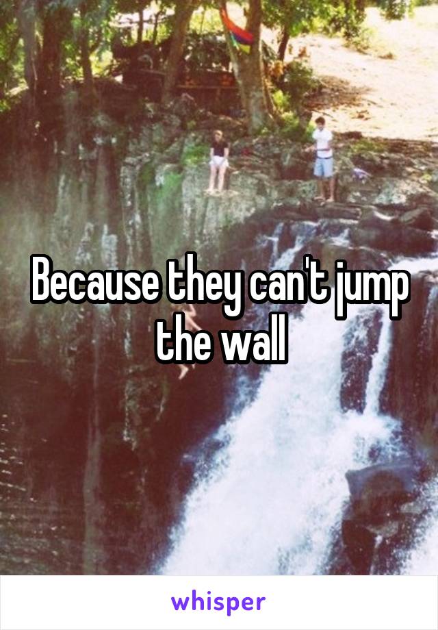 Because they can't jump the wall