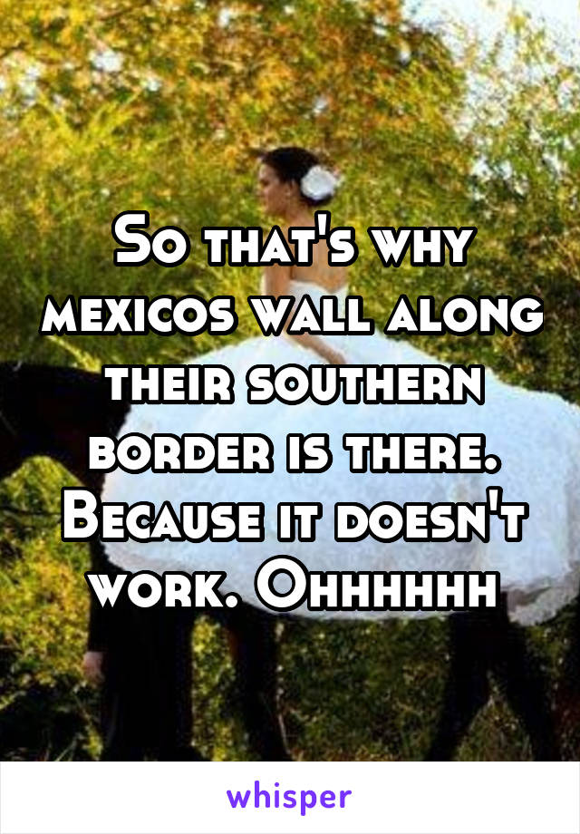 So that's why mexicos wall along their southern border is there. Because it doesn't work. Ohhhhhh