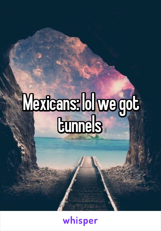 Mexicans: lol we got tunnels 