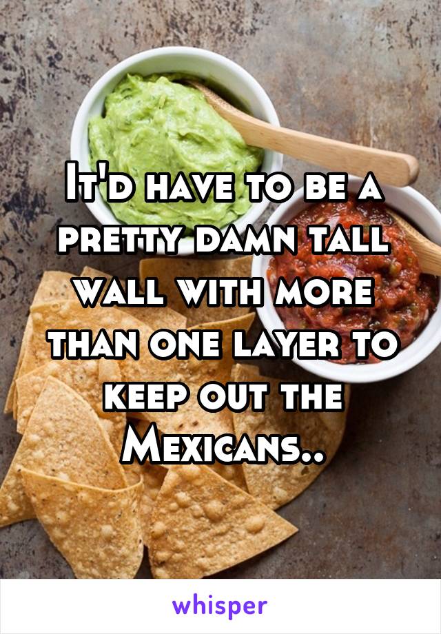 It'd have to be a pretty damn tall wall with more than one layer to keep out the Mexicans..