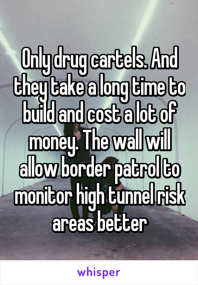 Only drug cartels. And they take a long time to build and cost a lot of money. The wall will allow border patrol to monitor high tunnel risk areas better