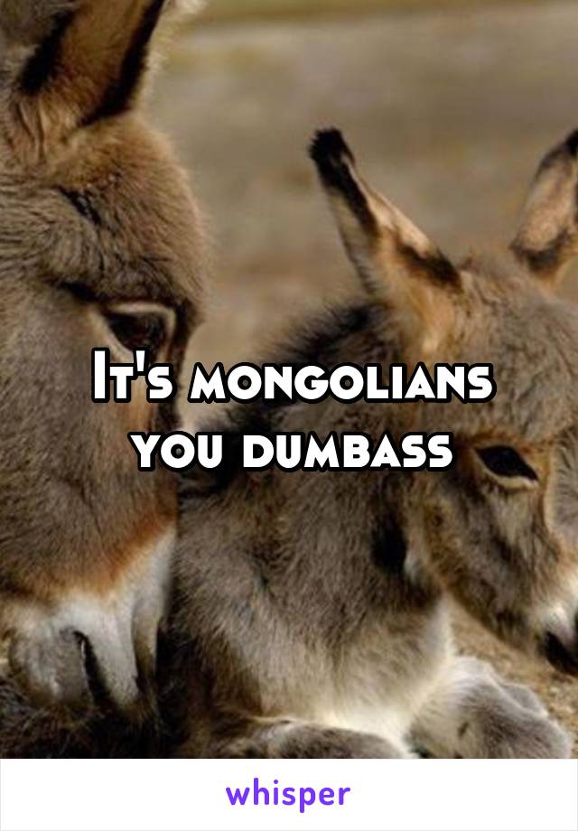 It's mongolians you dumbass