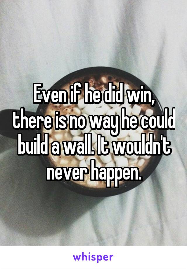 Even if he did win, there is no way he could build a wall. It wouldn't never happen.