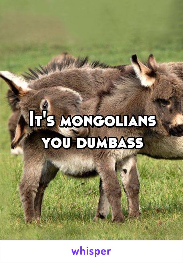 It's mongolians you dumbass