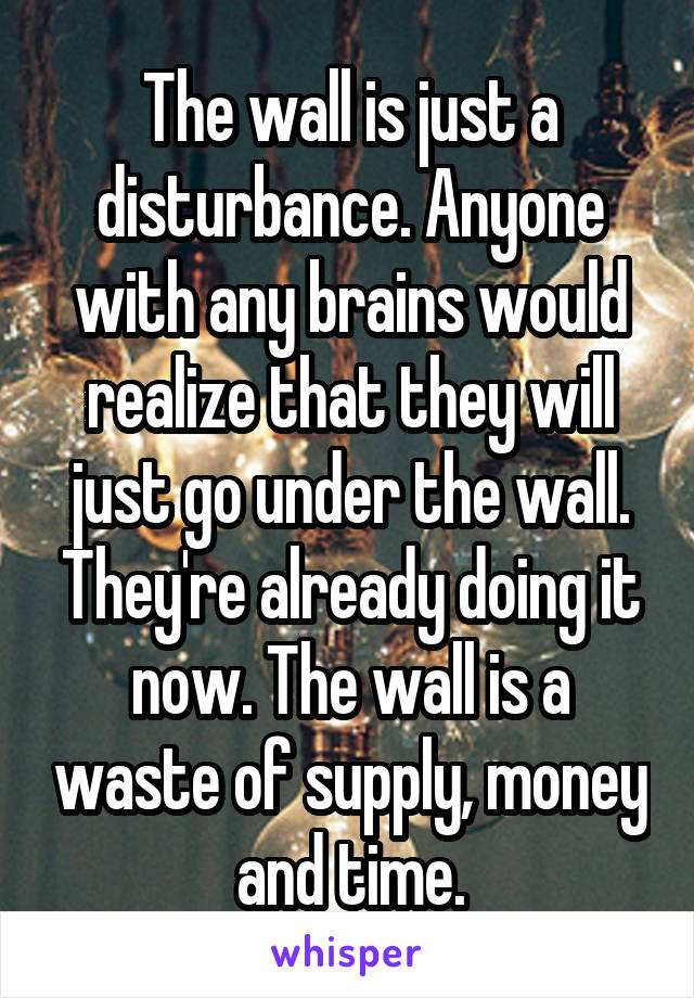 The wall is just a disturbance. Anyone with any brains would realize that they will just go under the wall. They're already doing it now. The wall is a waste of supply, money and time.