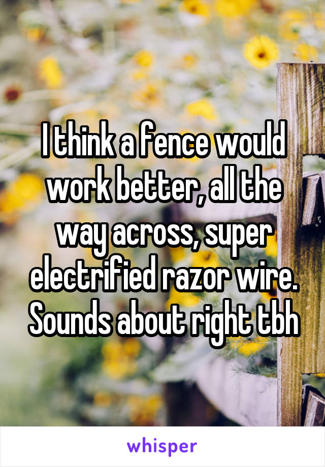 I think a fence would work better, all the way across, super electrified razor wire. Sounds about right tbh