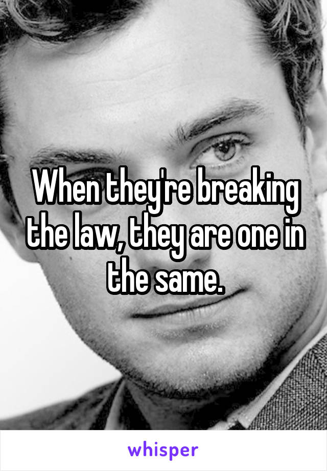 When they're breaking the law, they are one in the same.