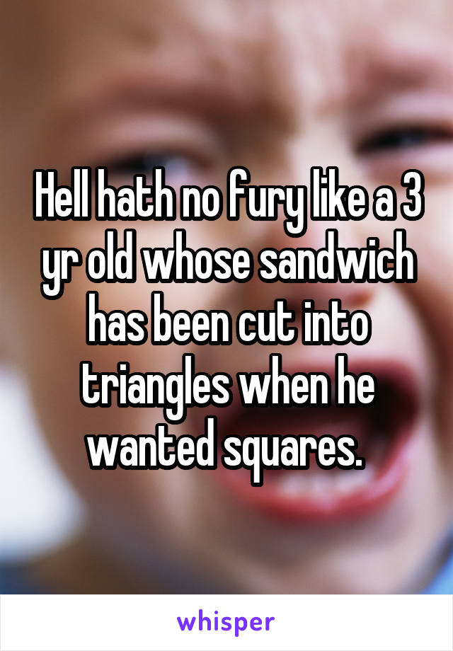 Hell hath no fury like a 3 yr old whose sandwich has been cut into triangles when he wanted squares. 