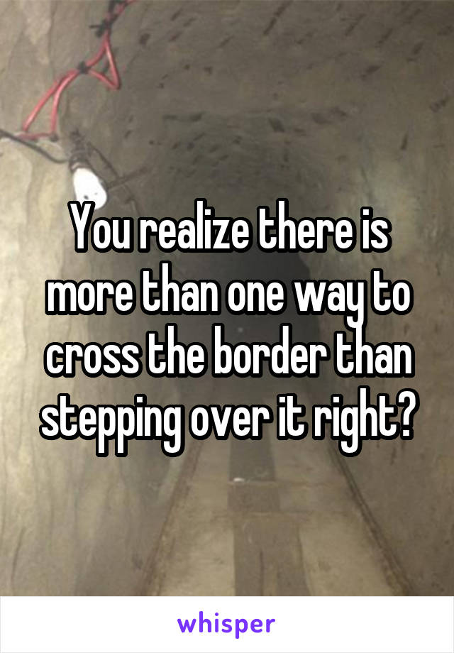 You realize there is more than one way to cross the border than stepping over it right?
