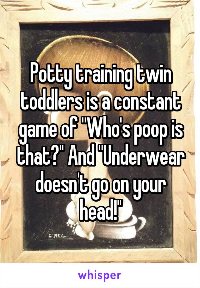 Potty training twin toddlers is a constant game of "Who's poop is that?" And "Underwear doesn't go on your head!"