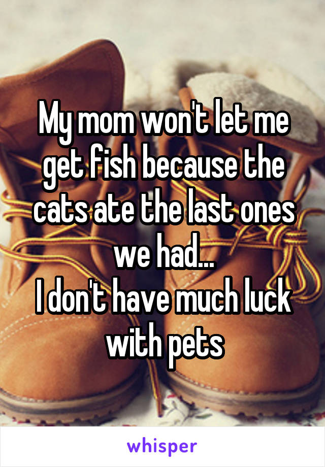 My mom won't let me get fish because the cats ate the last ones we had...
I don't have much luck with pets