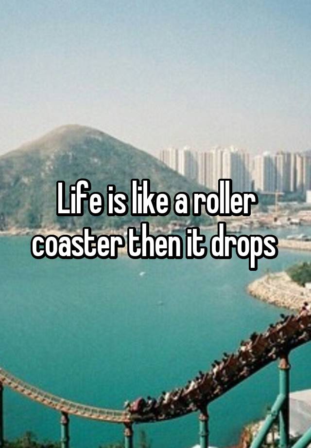 life-is-like-a-roller-coaster-then-it-drops