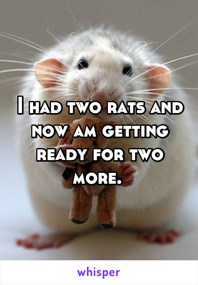 I had two rats and now am getting ready for two more. 