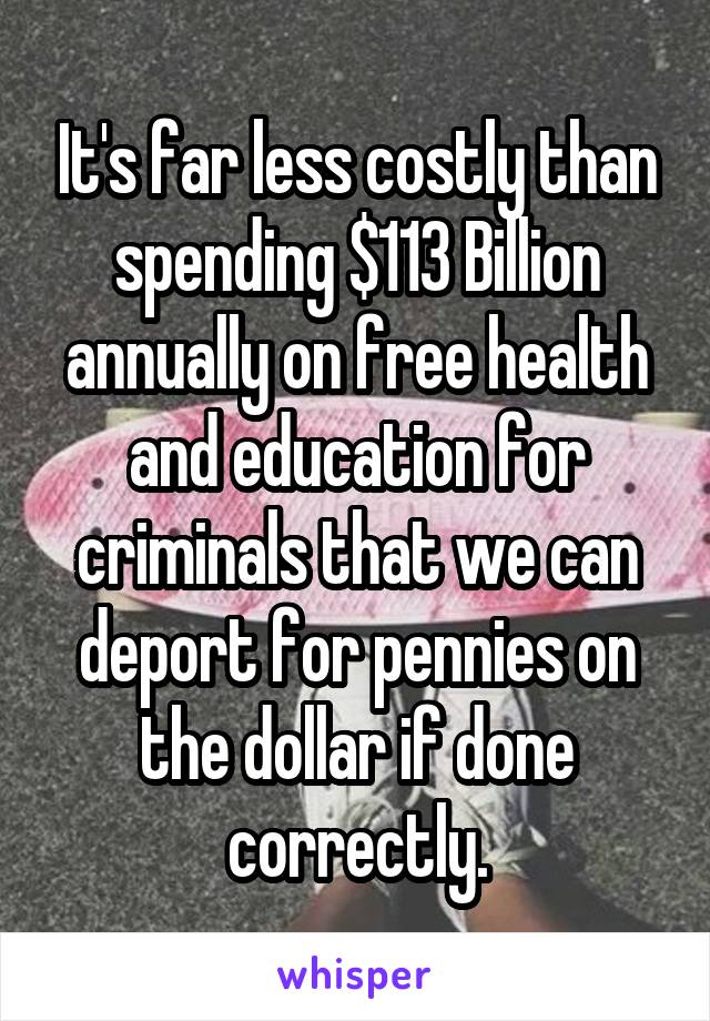 It's far less costly than spending $113 Billion annually on free health and education for criminals that we can deport for pennies on the dollar if done correctly.