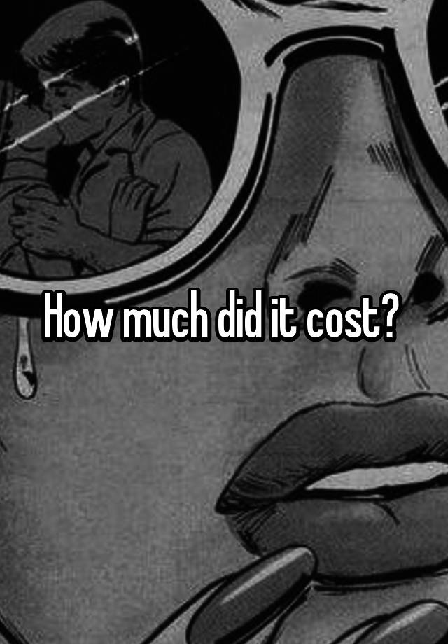 how-much-did-it-cost