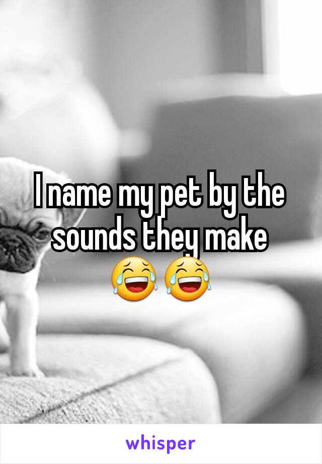 I name my pet by the sounds they make 😂😂