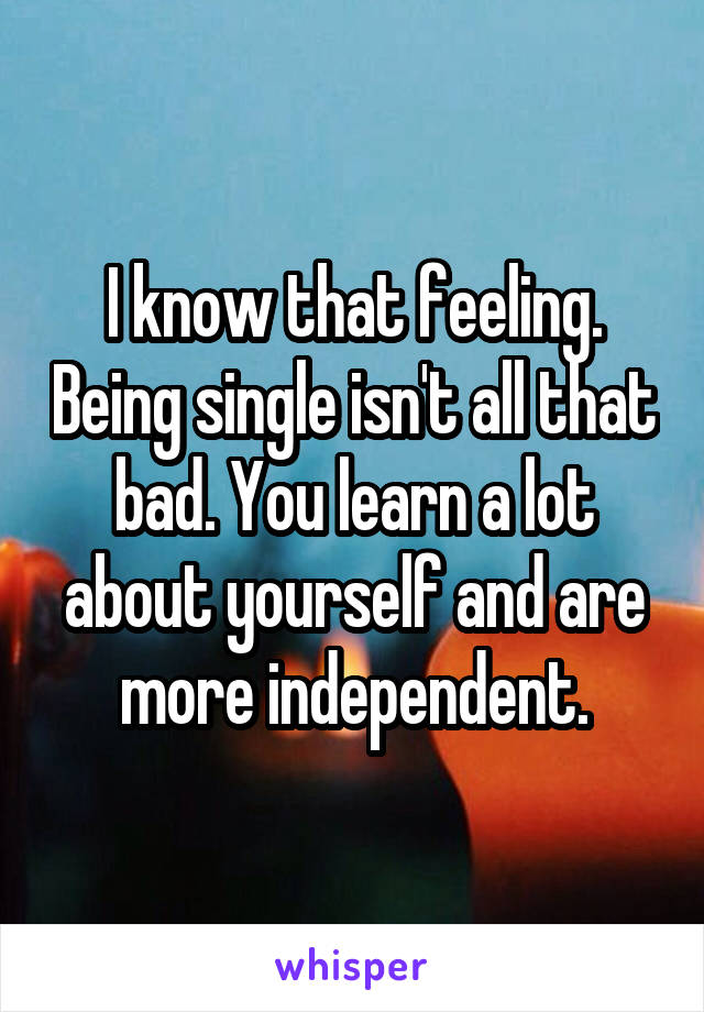 I know that feeling. Being single isn't all that bad. You learn a lot about yourself and are more independent.