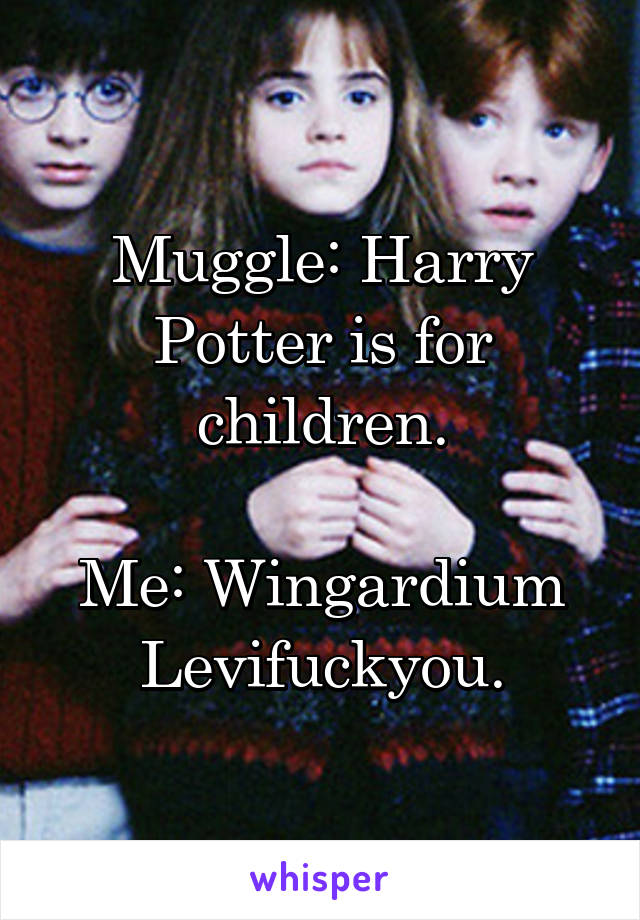 Muggle: Harry Potter is for children.

Me: Wingardium Levifuckyou.