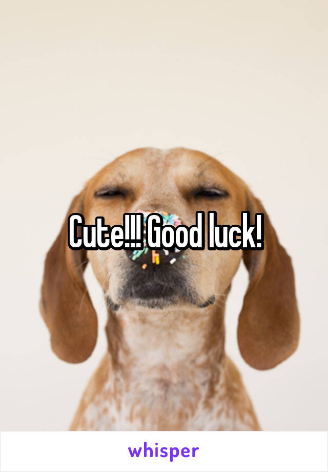 Cute!!! Good luck!