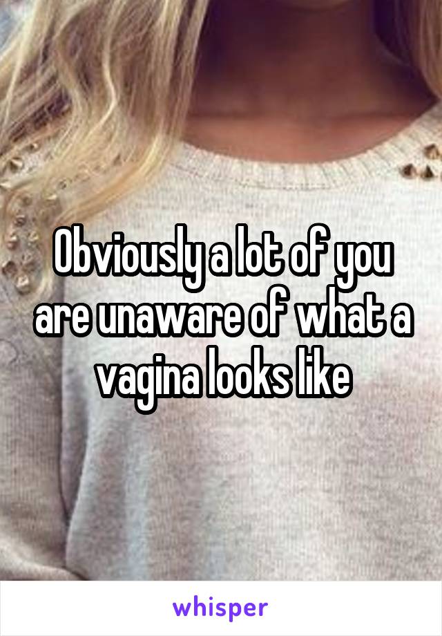 Obviously a lot of you are unaware of what a vagina looks like