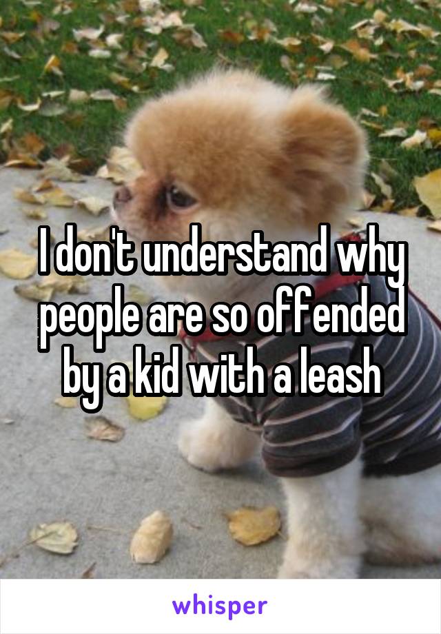 I don't understand why people are so offended by a kid with a leash