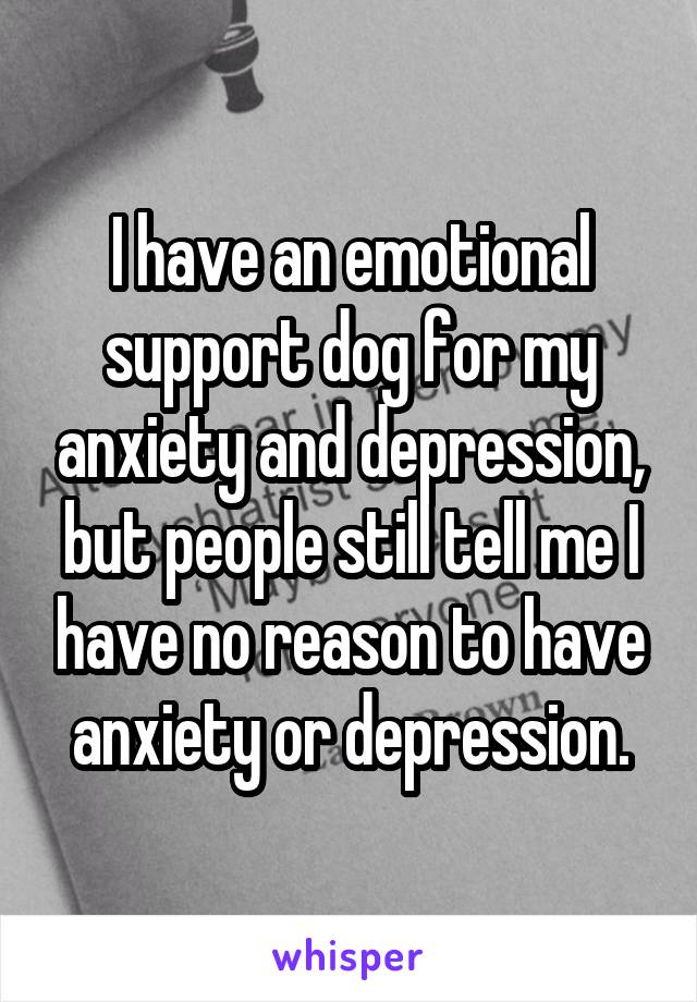 I have an emotional support dog for my anxiety and depression, but people still tell me I have no reason to have anxiety or depression.