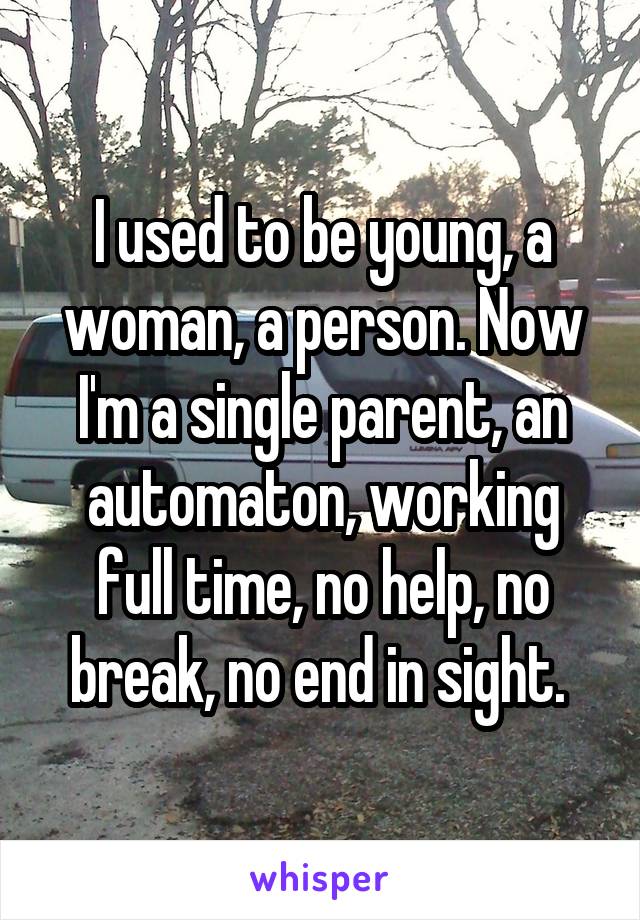 I used to be young, a woman, a person. Now I'm a single parent, an automaton, working full time, no help, no break, no end in sight. 