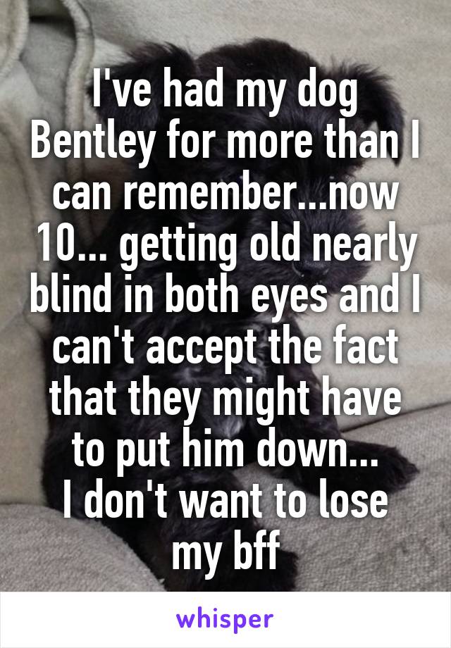 I've had my dog Bentley for more than I can remember...now 10... getting old nearly blind in both eyes and I can't accept the fact that they might have to put him down...
I don't want to lose my bff