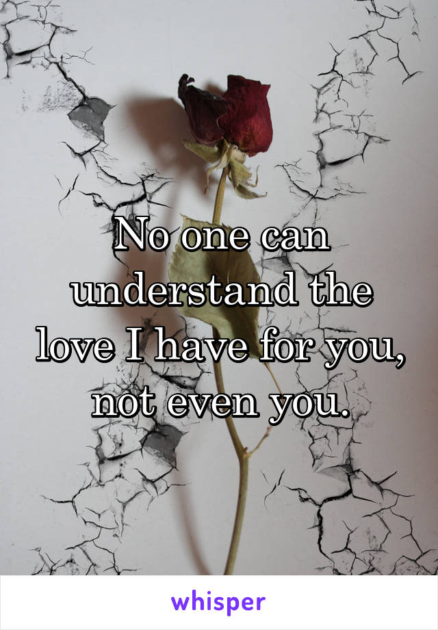 No one can understand the love I have for you, not even you.