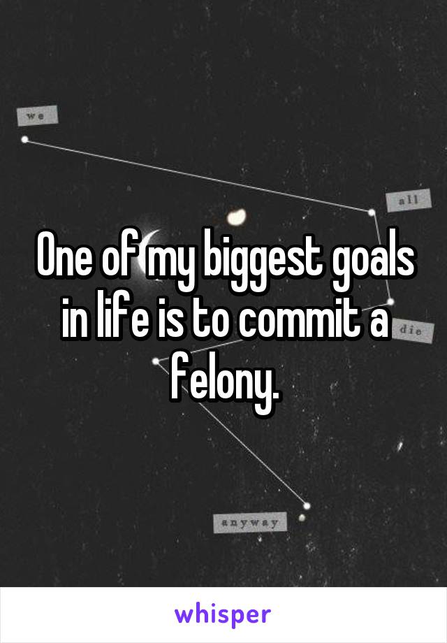 One of my biggest goals in life is to commit a felony.