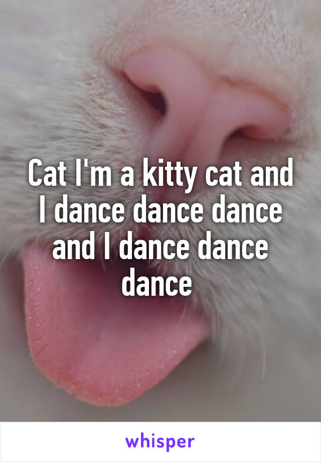 Cat I'm a kitty cat and I dance dance dance and I dance dance dance 