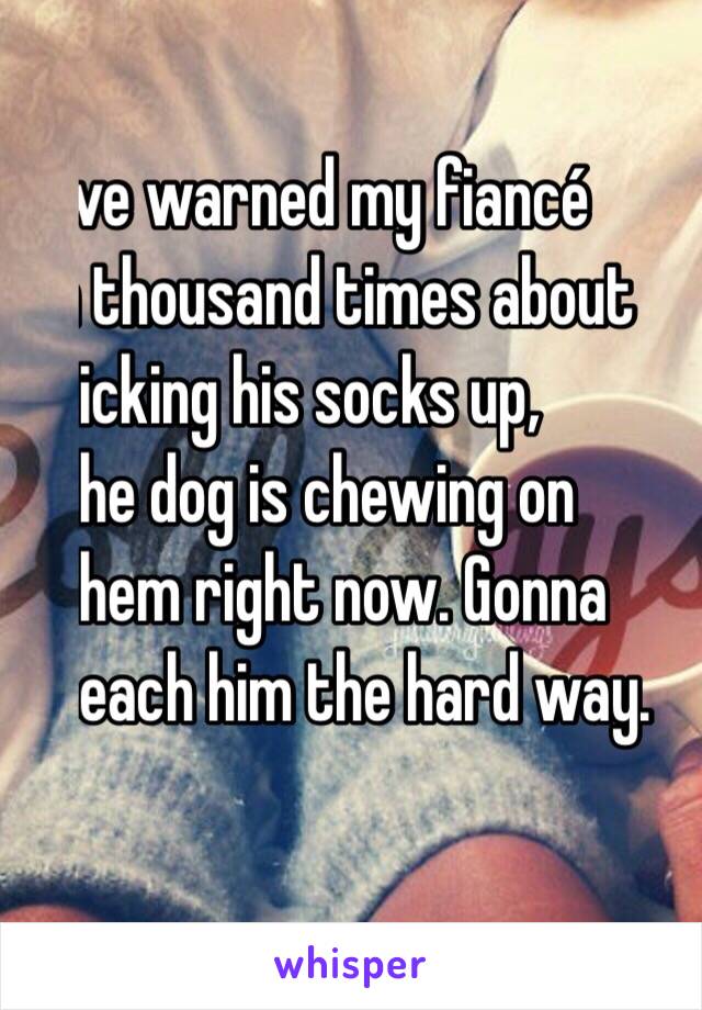 I've warned my fiancé 
a thousand times about 
picking his socks up, 
the dog is chewing on 
them right now. Gonna 
teach him the hard way. 