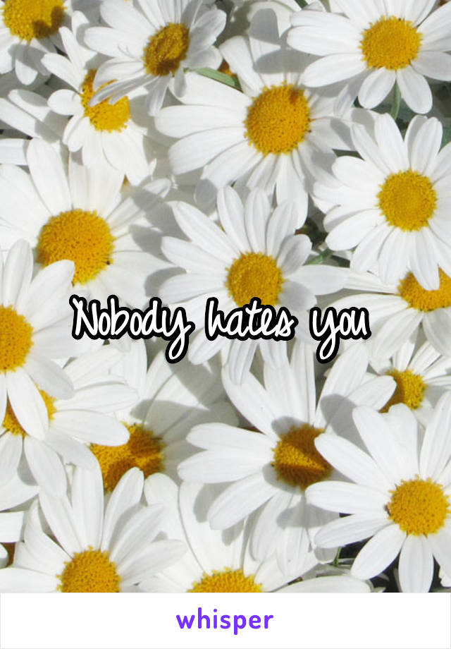 Nobody hates you 