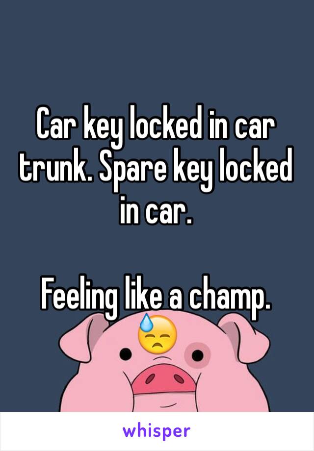 Car key locked in car trunk. Spare key locked in car.

Feeling like a champ.
😓