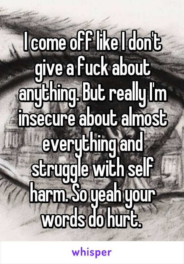 I come off like I don't give a fuck about anything. But really I'm insecure about almost everything and struggle with self harm. So yeah your words do hurt. 