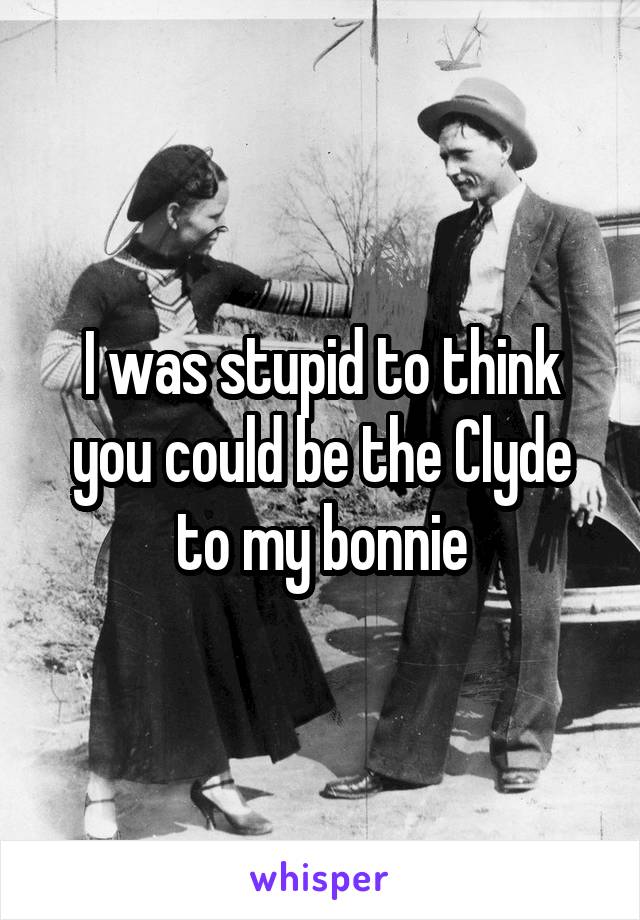 I was stupid to think you could be the Clyde to my bonnie